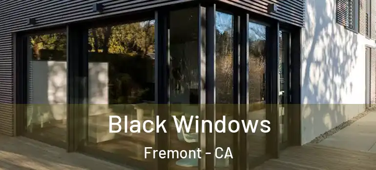  Black Windows Fremont - CA