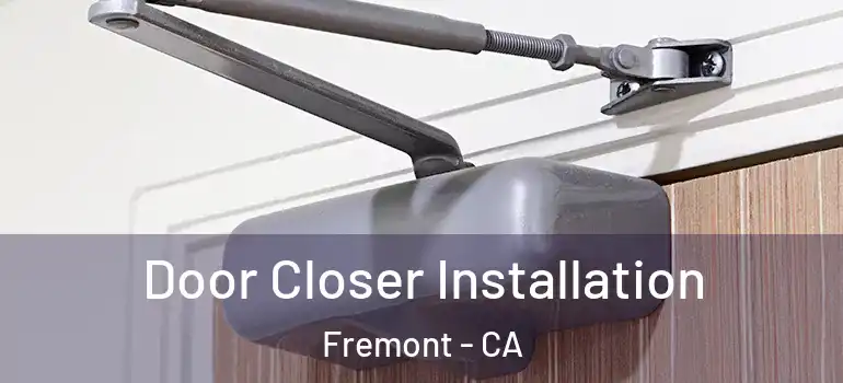  Door Closer Installation Fremont - CA