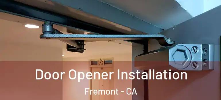 Door Opener Installation Fremont - CA