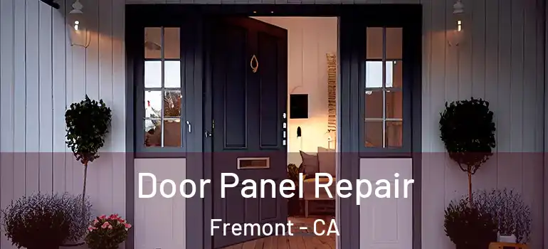  Door Panel Repair Fremont - CA