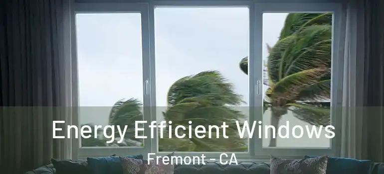  Energy Efficient Windows Fremont - CA