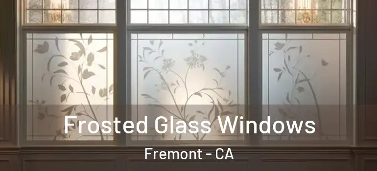  Frosted Glass Windows Fremont - CA