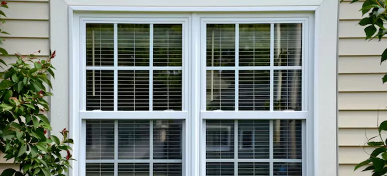 Custom Double Hung Windows in Fremont, CA