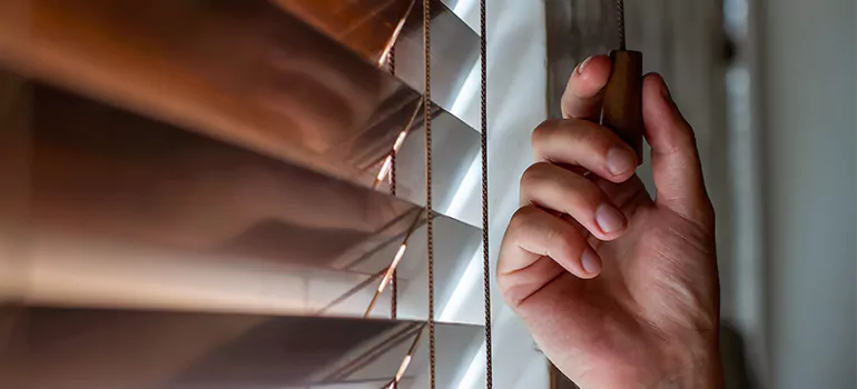 Double Roller Blinds in Fremont, CA