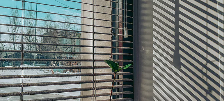 Commercial Window Blinds in Fremont, CA