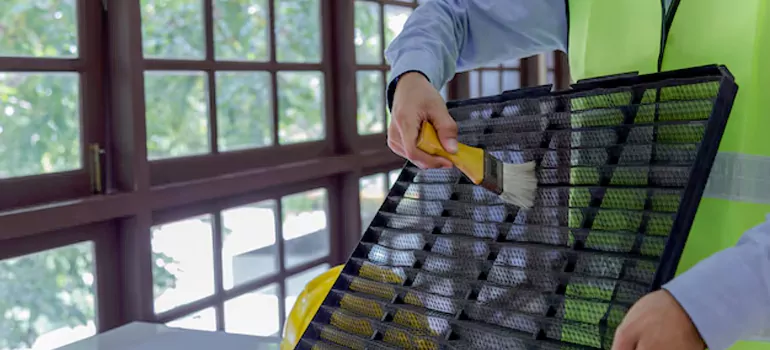 Traditional Window Grille Installation Options in Fremont, CA