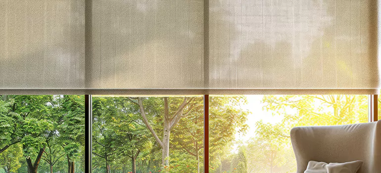 Custom Window Shades in Fremont, CA