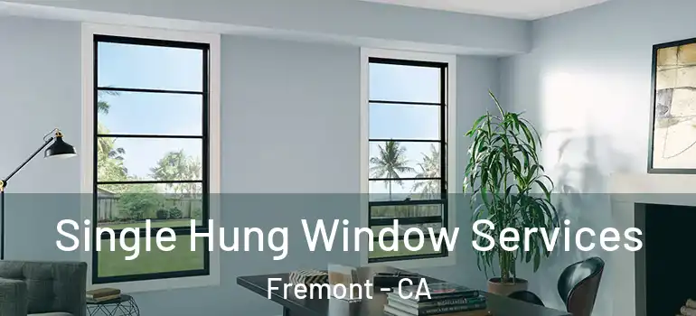  Single Hung Window Services Fremont - CA