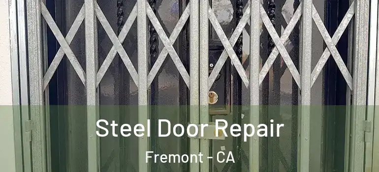  Steel Door Repair Fremont - CA