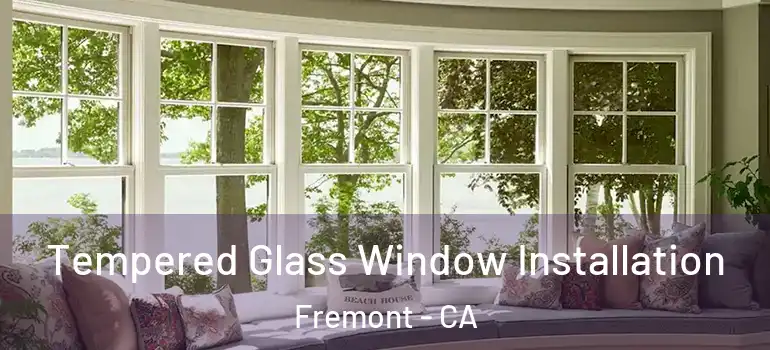  Tempered Glass Window Installation Fremont - CA