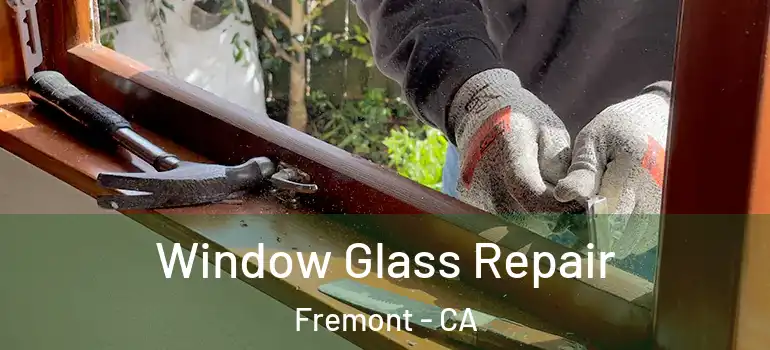  Window Glass Repair Fremont - CA