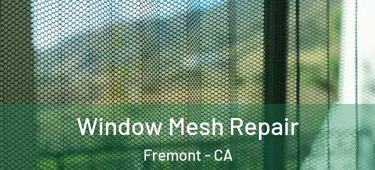  Window Mesh Repair Fremont - CA