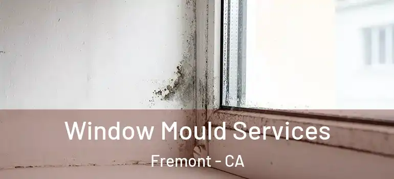  Window Mould Services Fremont - CA