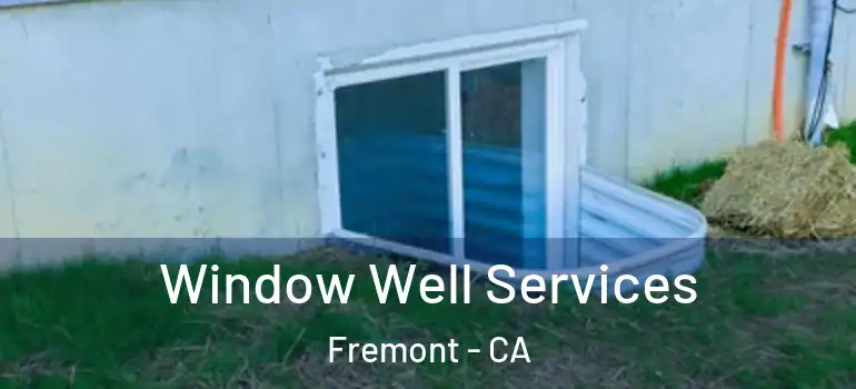  Window Well Services Fremont - CA
